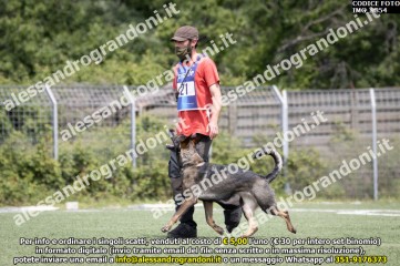 IMG_9854.jpg