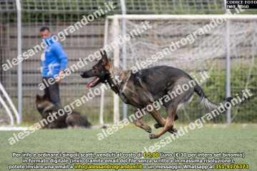 IMG_9860.jpg