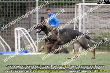 IMG_9861.jpg