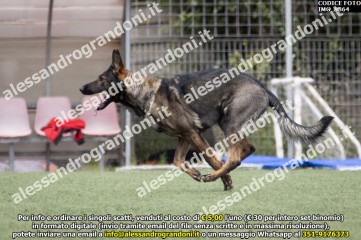 IMG_9864.jpg