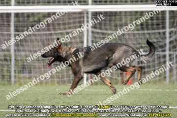 IMG_9867.jpg