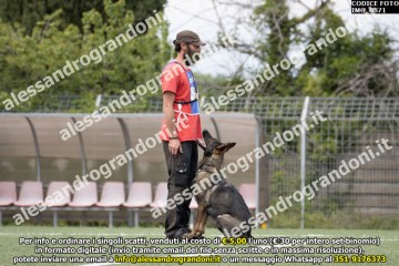 IMG_9871.jpg