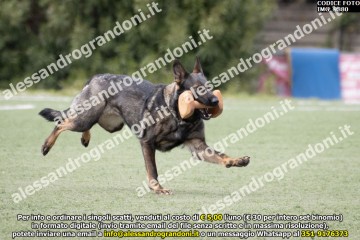 IMG_9880.jpg