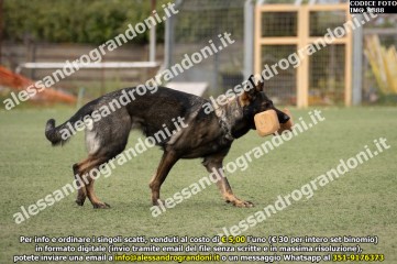 IMG_9888.jpg