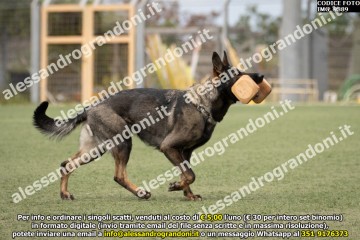 IMG_9889.jpg