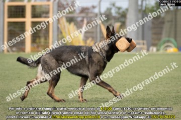 IMG_9890.jpg