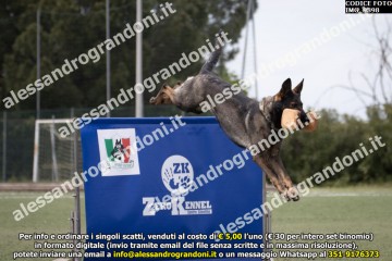 IMG_9898.jpg