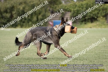 IMG_9901.jpg