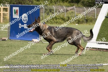 IMG_9906.jpg