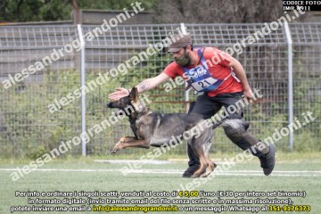 IMG_9911.jpg