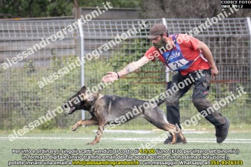 IMG_9912.jpg