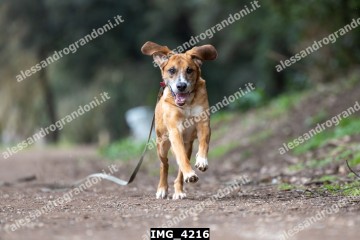IMG_4216.jpg