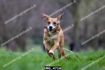 IMG_4716.jpg