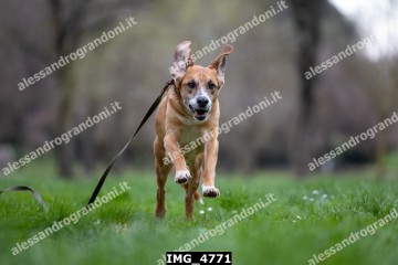 IMG_4771.jpg