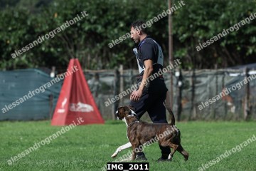 IMG_2011.jpg