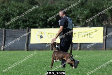 IMG_2026.jpg