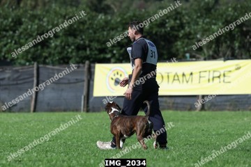 IMG_2034.jpg