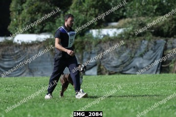 IMG_2084.jpg