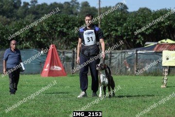 IMG_2153.jpg