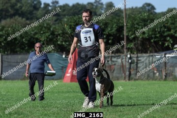 IMG_2163.jpg