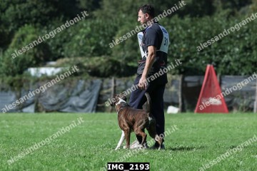 IMG_2193.jpg
