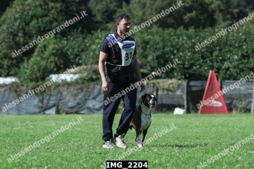 IMG_2204.jpg