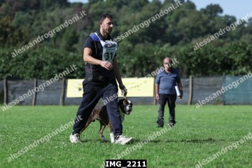 IMG_2211.jpg