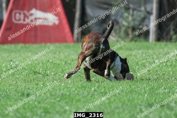 IMG_2316.jpg