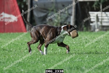 IMG_2338.jpg