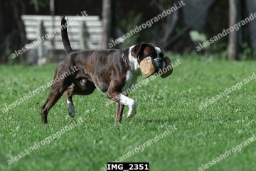 IMG_2351.jpg