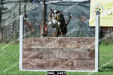 IMG_2407.jpg