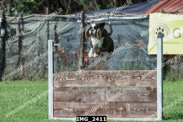 IMG_2411.jpg