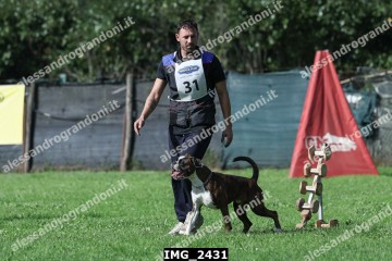 IMG_2431.jpg