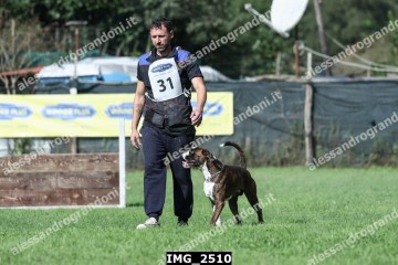 IMG_2510.jpg