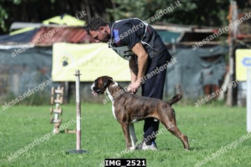IMG_2521.jpg