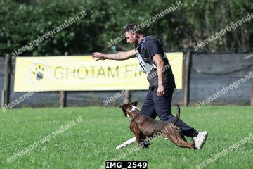 IMG_2549.jpg