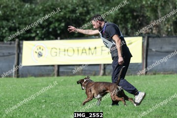 IMG_2552.jpg