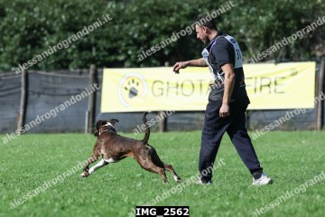 IMG_2562.jpg