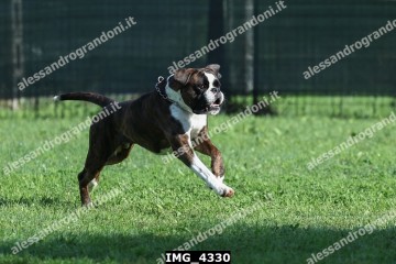 IMG_4330.jpg