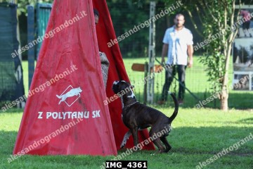 IMG_4361.jpg