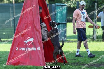 IMG_4402.jpg