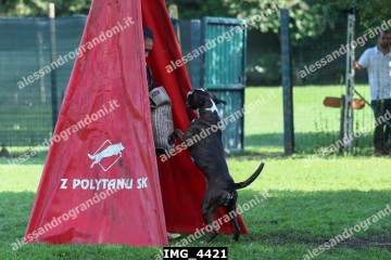 IMG_4421.jpg
