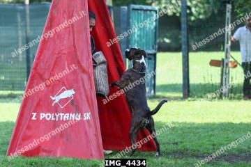IMG_4434.jpg