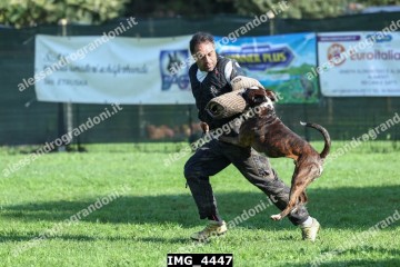 IMG_4447.jpg
