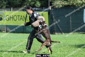 IMG_4470.jpg