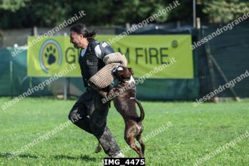 IMG_4475.jpg