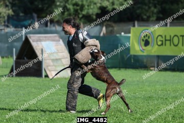 IMG_4482.jpg