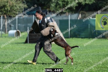 IMG_4487.jpg