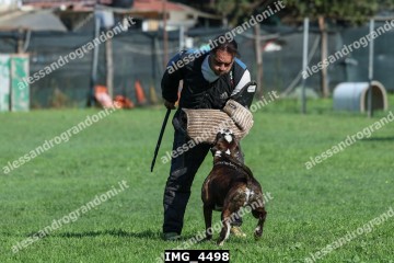 IMG_4498.jpg