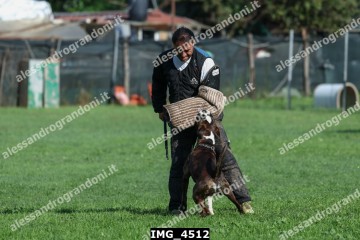IMG_4512.jpg